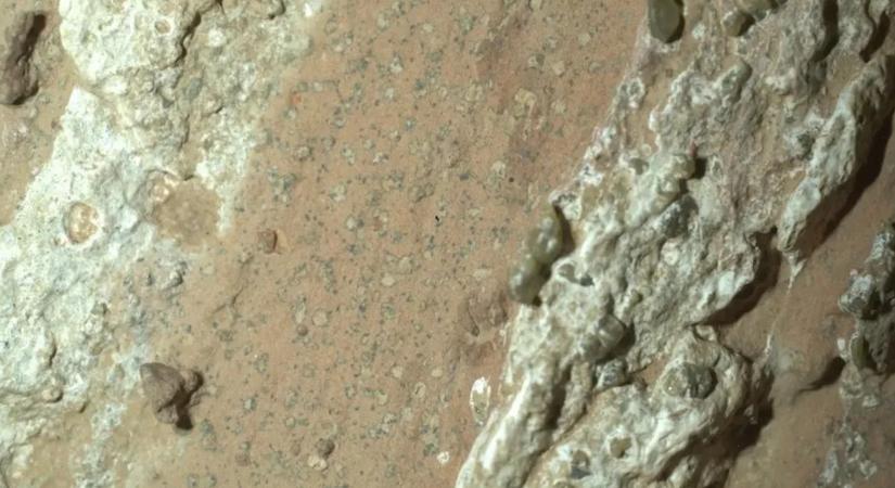 Megtalálhatták a Mars őslényeinek a nyomait!