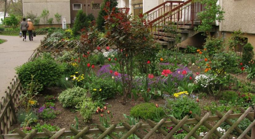 Eperjes városa legalizálja a lakótelepi előkerteket és a közösségi kerteket