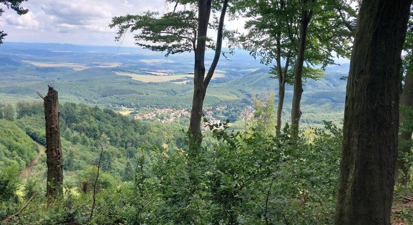 Idén mintegy félezer gyermek vándortáborozik a Mátrában