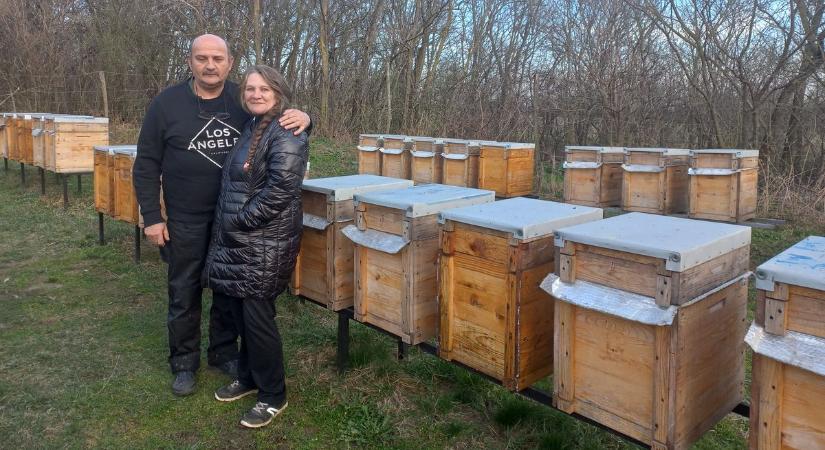 Fejér vármegyében ezernél több méhészt tartanak nyilván