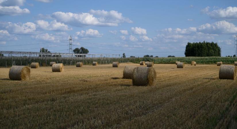 Az Európai Bizottság is rábólintott az új agráróriás megalakulására