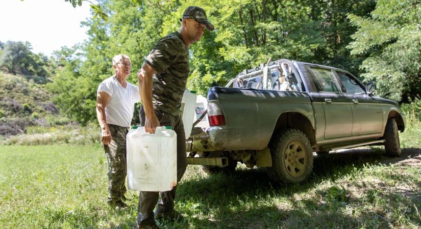 A vadásztársaságok gondoskodnak a vadak itatásáról a nagy hőségben (fotók, videó)