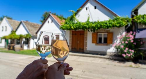 Megszállták a Balatont a NÉBIH ellenőrei