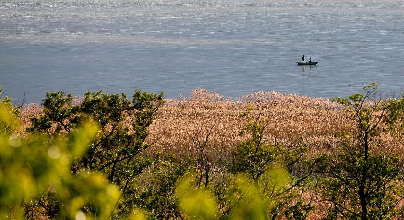 A Balaton is bármikor „elszajnásodhat"