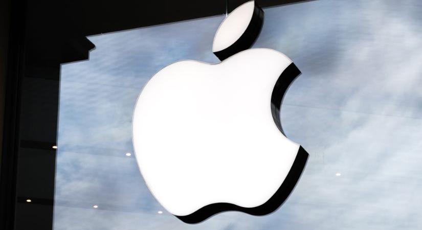 Apple – Megugrott az iPad értékesítés, 5%-os eladás növekedés