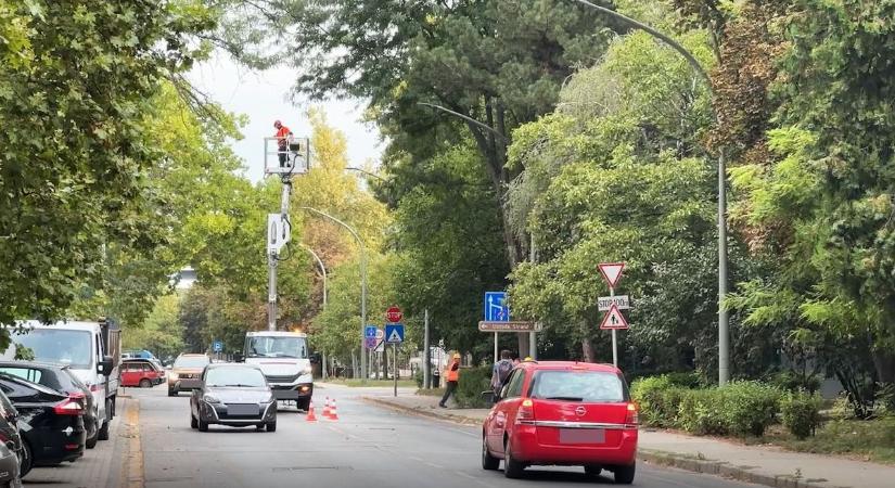 Székesfehérvár: Vezeték közeli növényzet metszését végzi a Városgondnokság