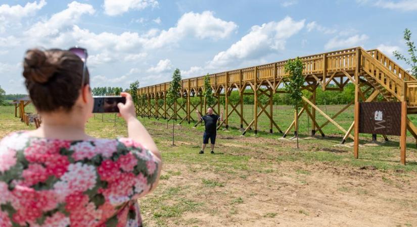 A Legfőbb Ügyészség továbbra is állítja: az Európai Ügyészség nem járhat el a nyírmártonfalvai lombkoronasétány ügyében