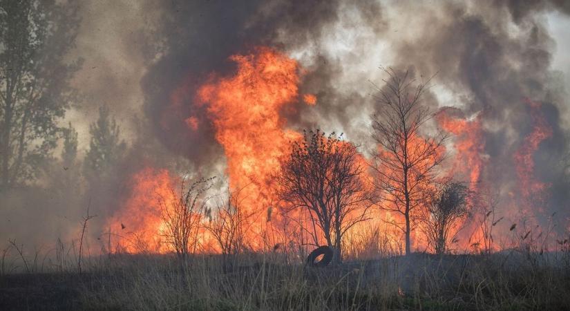 Szekszárdi tűzoltók is részt vesznek az Észak-Macedóniában pusztító erdőtűz megfékezésében