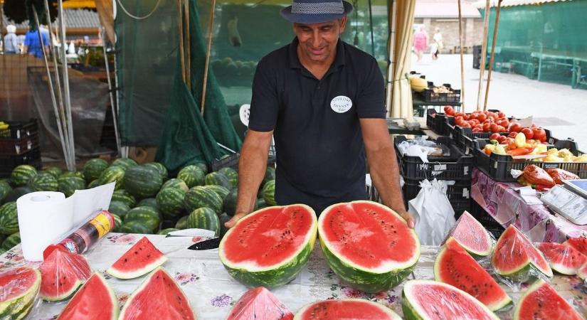 Megvágták a szuloki óriásdinnyét a kaposvári piacon