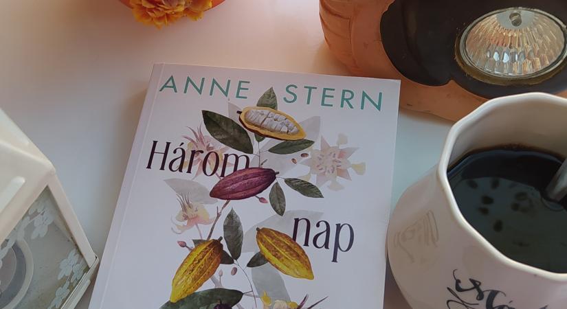 Anne Stern Három nap augusztusban című könyvét olvastam