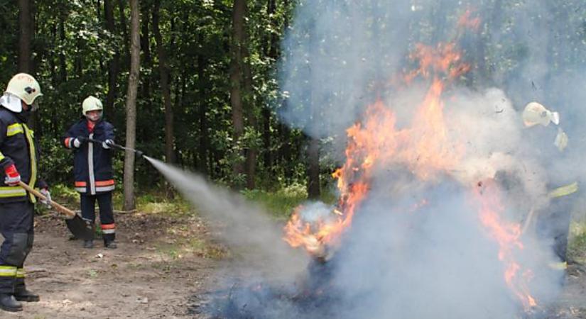Tanyát és erdőt is veszélyeztettek a lángok Tiszacsege környékén