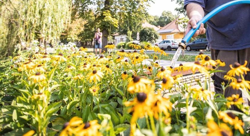 A locsolást a lakók is elvégezhetik - háborog olvasónk