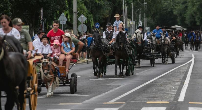 A lónak is négy lába van, mégis felvonul – parádés menettel nyitották meg a Kösely-kupát – fotókkal, videóval