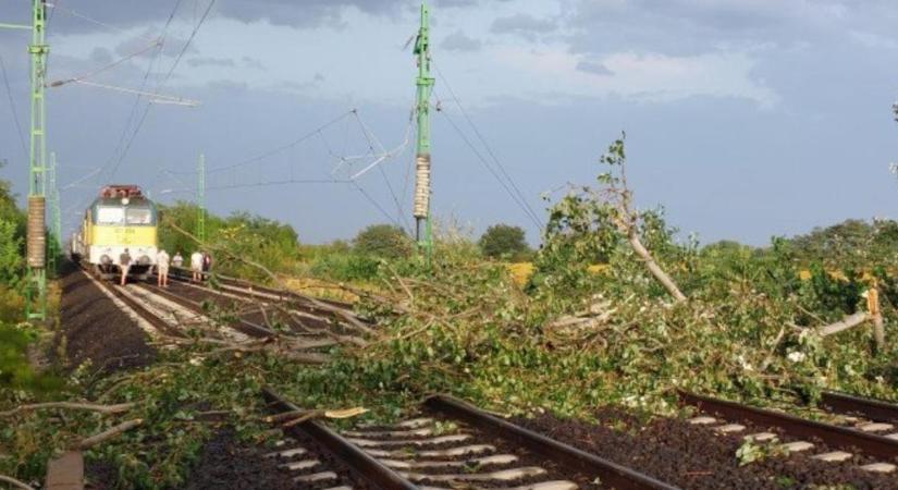 Vihar miatt kidőlt fának hajtott egy InterCity Zala vármegyében