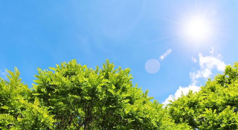 Sok napsütés várható szombaton Bács-Kiskunban