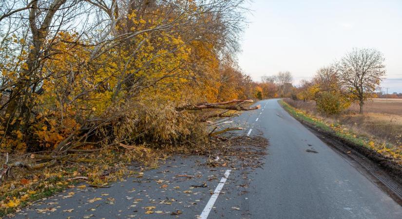 Vége a nyárnak? - Erős szél és jégeső - mutatjuk a hétvége időjárását!