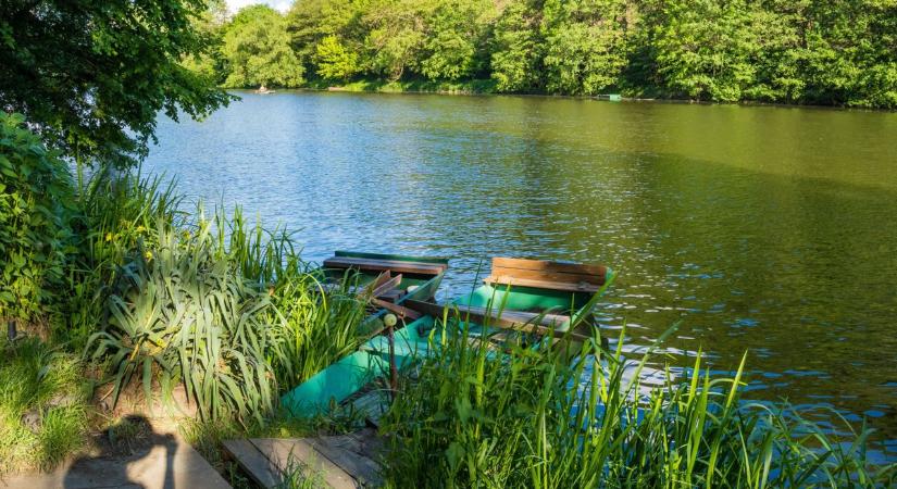 Mutatjuk a Duna és a Tisza vízszintjét Bács-Kiskunnál