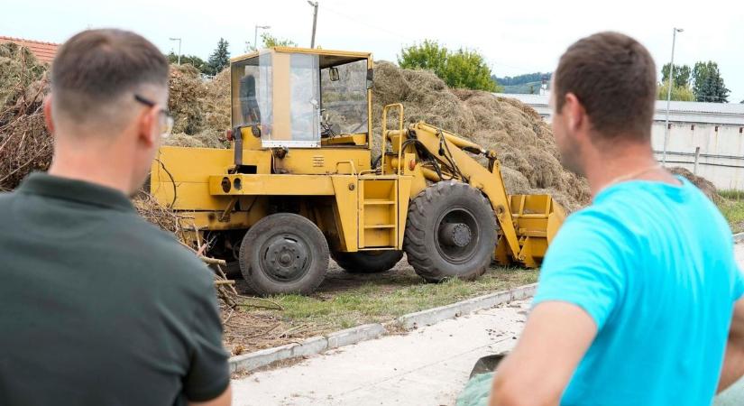 Versenyben a Virágos Magyarország megmérettetésén