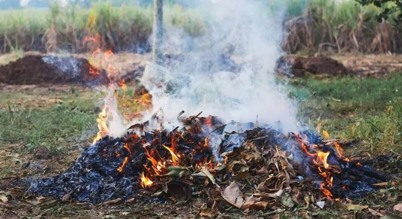 Ebben a hónapban tilos eltüzelni a kerti hulladékot Rácalmáson