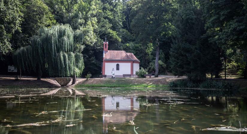 Természeti csoda – Elbűvölő, friss fotókon mutatjuk, miért választották híres remetéink egykor a Bakony szívét (képgaléria)