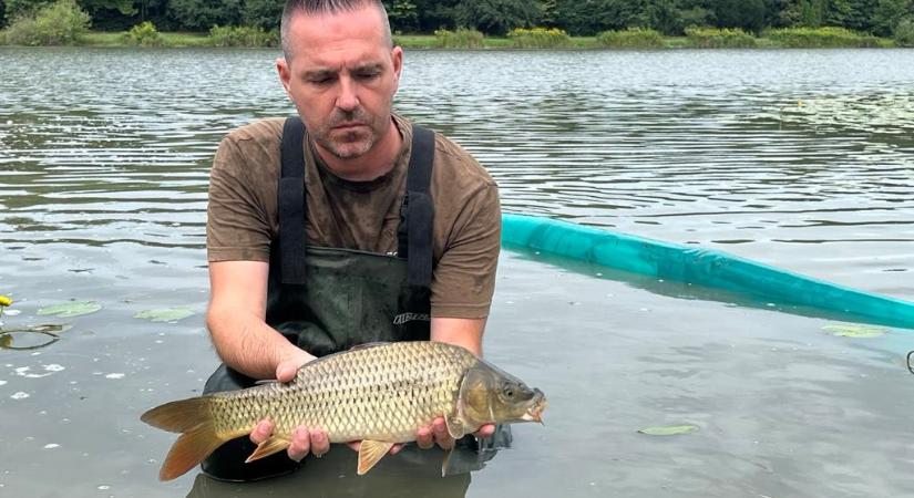 Pontyokat telepítettek a Csónakázó-tóba