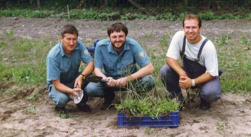 Újra összefog a szürke veronikákért és a rezes hölgymálokért a Hortobágyi Nemzeti Park és a Debreceni Egyetem