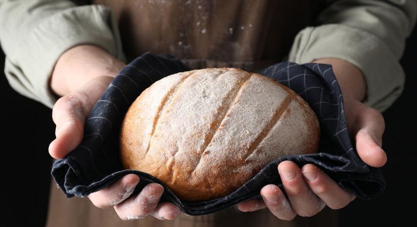 A hagyományos kenyérdagasztást és sütést is bemutatják a kemence ünnepén