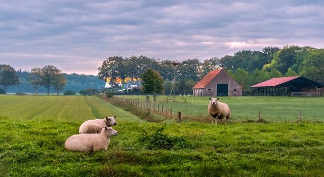 Új jövőkép az európai állattenyésztés fenntarthatóságáról