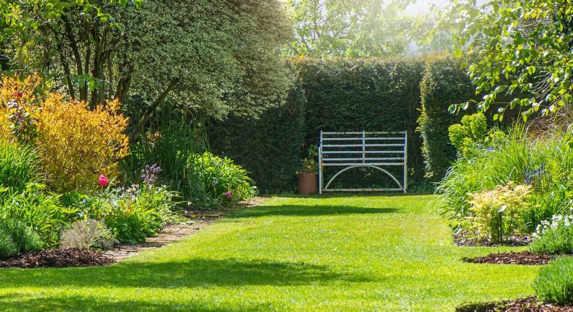Békéscsabai kertész tanácsai: így lesz egészséges és szép a fű