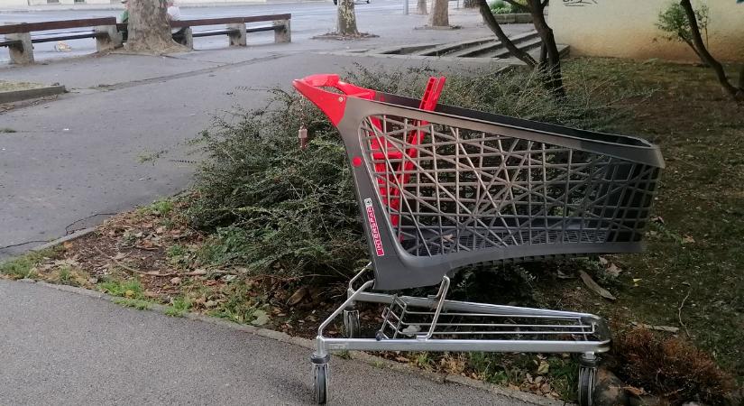 Ilyen egy magányos bevásárlókocsi sorsa