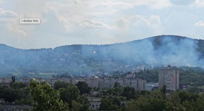 Nagy területen ég az aljnövényzet a III. kerületben