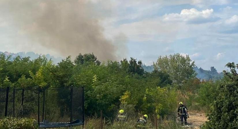 Óriási lángok csaptak fel az óbudai Táborhegyi parkban, 10 ezer négyzetméteren - Galéria
