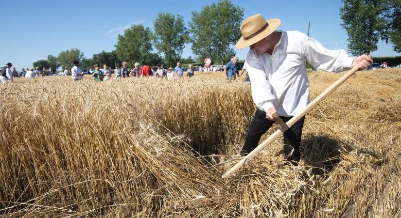 Aratófesztivál lesz Kerekegyházán