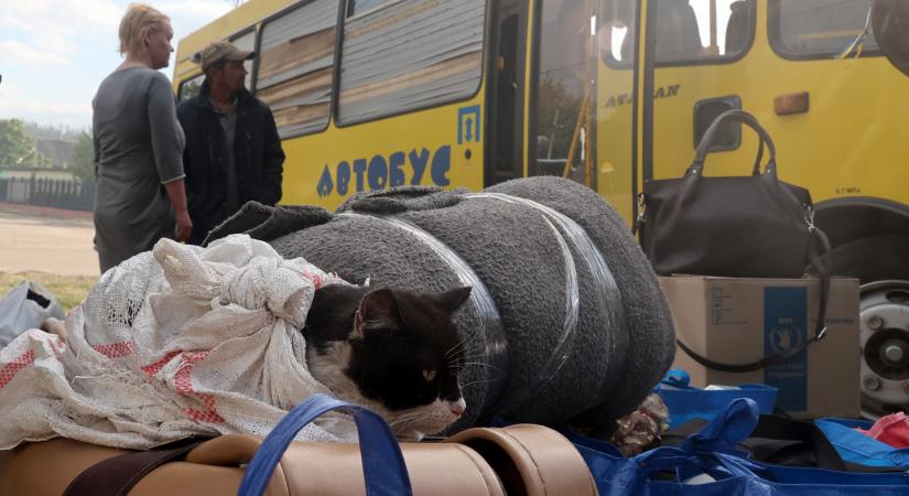 Hatalmas exodus indul Ukrajnában