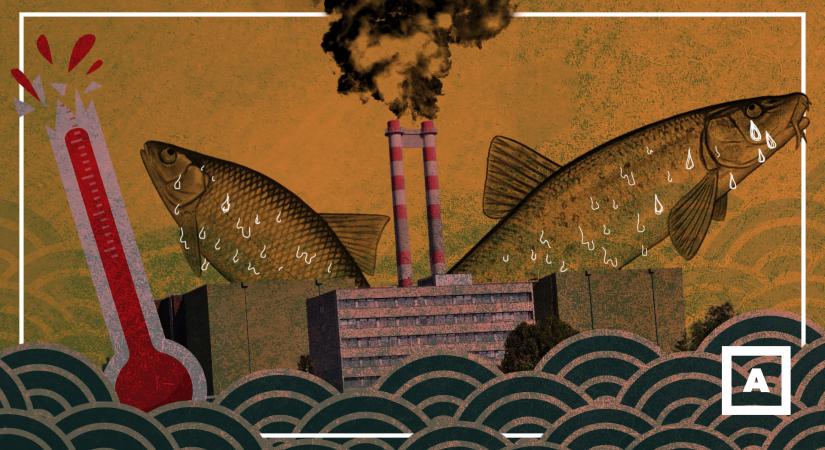 Zöld szervezetek szerint alaptörvényellenes, hogy a Paksi Atomerőmű a megengedettnél melegebb vizet engedjen a Dunába