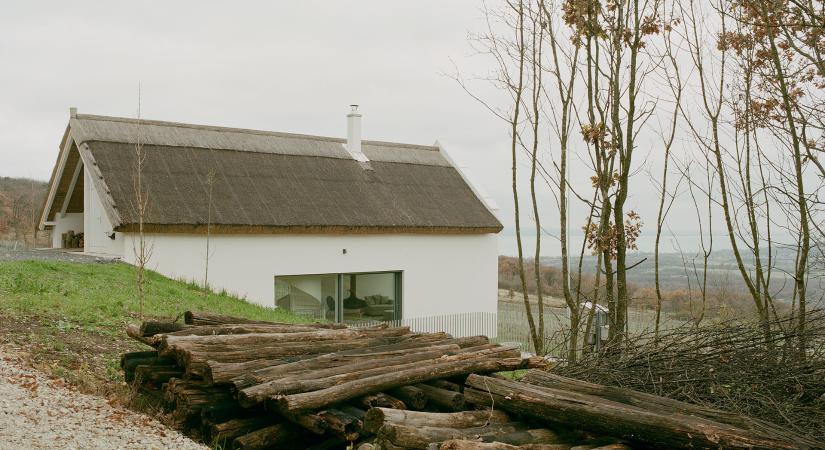 Egy archetipikus ház néhány csavarral