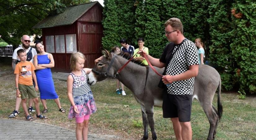 Új szamárral folytatja kalandját Koszonits Patrik: célja egy szamárrezervátum létrehozása – videó