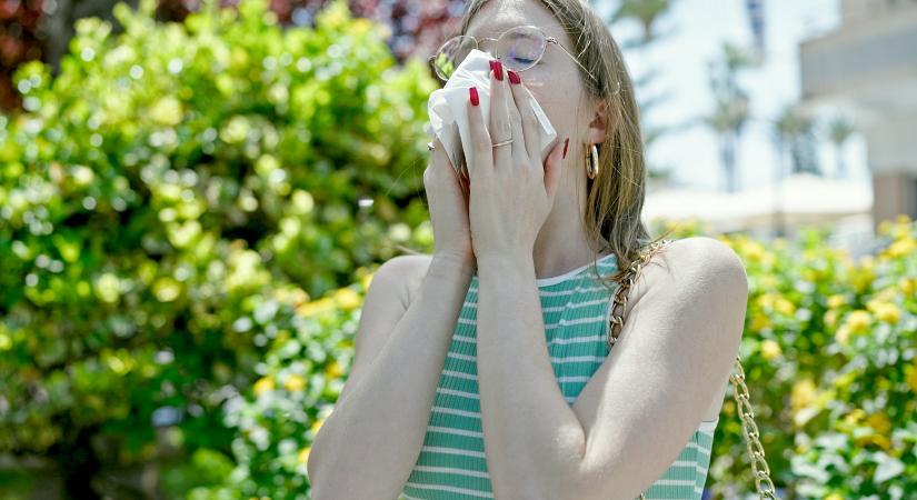 Orrfolyás, tüsszögés, szemviszketés: nem csak parlagfű okozhatja