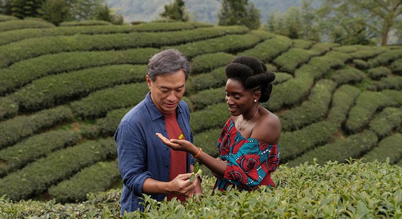A tea illata – kultúrákon átívelő romantikus film érkezik a mozikba