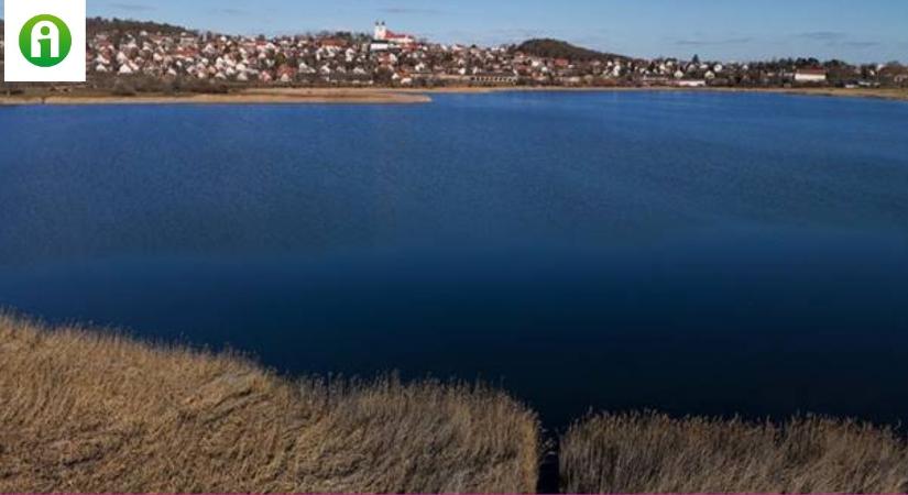 Ha ez a hal elterjed a Balatonban, hatalmas károkat okozhat