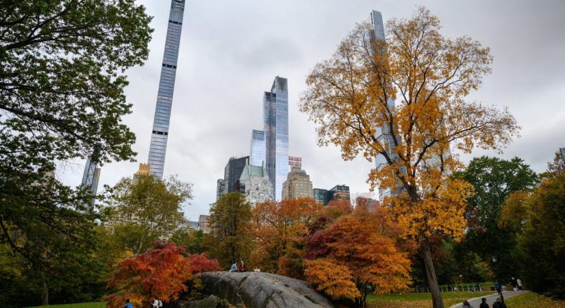 A Central Parkban szabadult meg egy medvebocs tetemétől az amerikai elnökjelölt