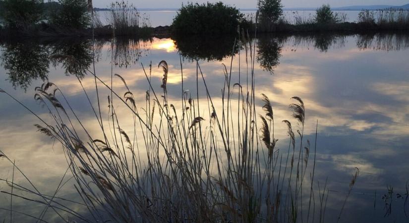 A Balaton természeti örökségünk, amit meg kell védenünk!