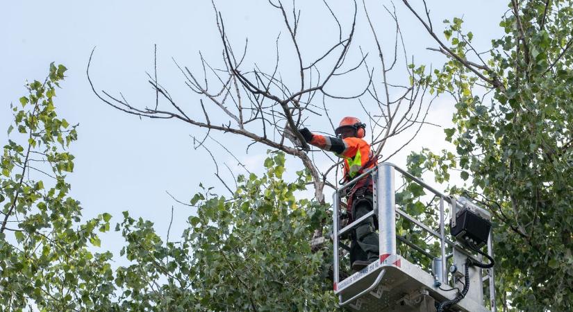 Gallyazás: Búgó hangok Székesfehérvár szerte