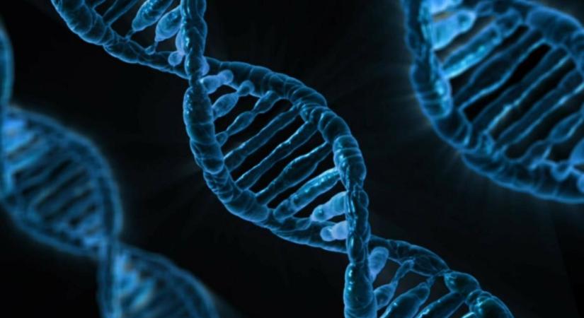 Áttörés a kezelésben? A DNS-ünkben rejtőzködő ősi vírusok táplálhatják a mai rákot
