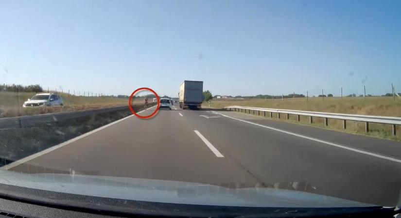 Biciklivel hajtott az autópálya belső sávjában egy nő Kecskemétnél: persze forgalommal szemben - videó