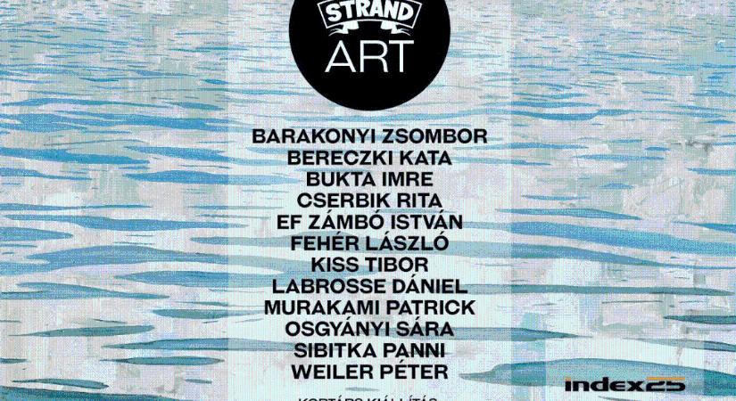 STRAND ART – Kortárs kiállítások, tárlatvezetés