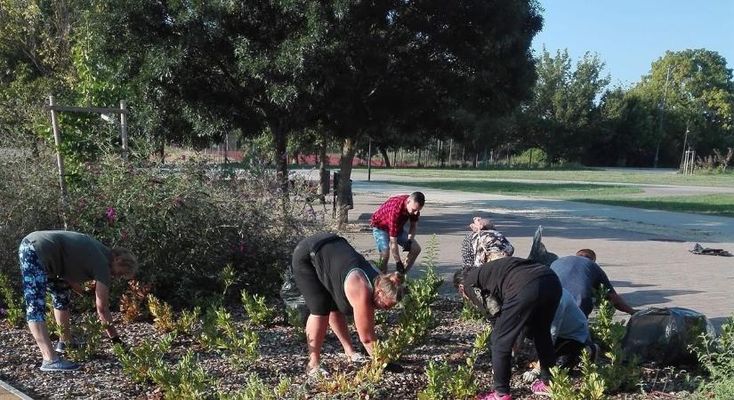 Kész parkoló, szépülő park szoboravatással koszorúzva