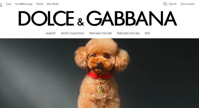 Ez állatság: a Dolce & Gabbana kutyaparfümöt dobott piacra 40 ezerért