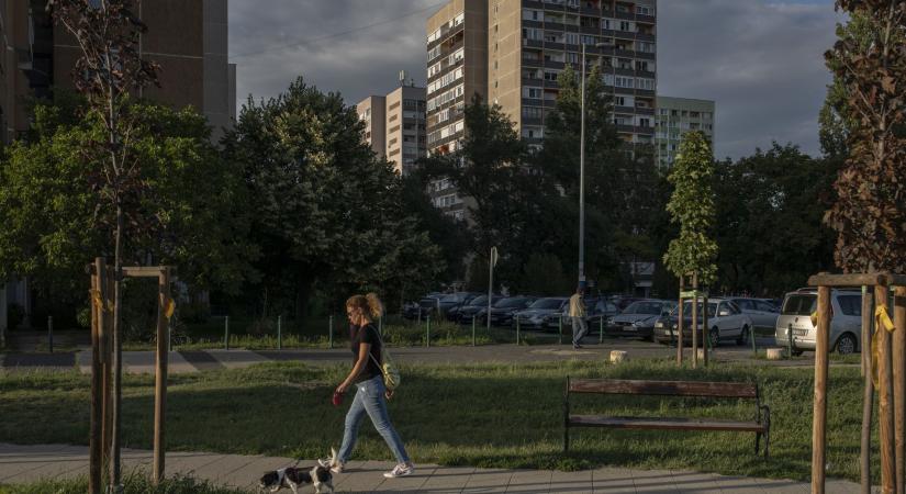 „Ez egy üzleti ajánlat” – jól működhet a lakásügynökségi modell