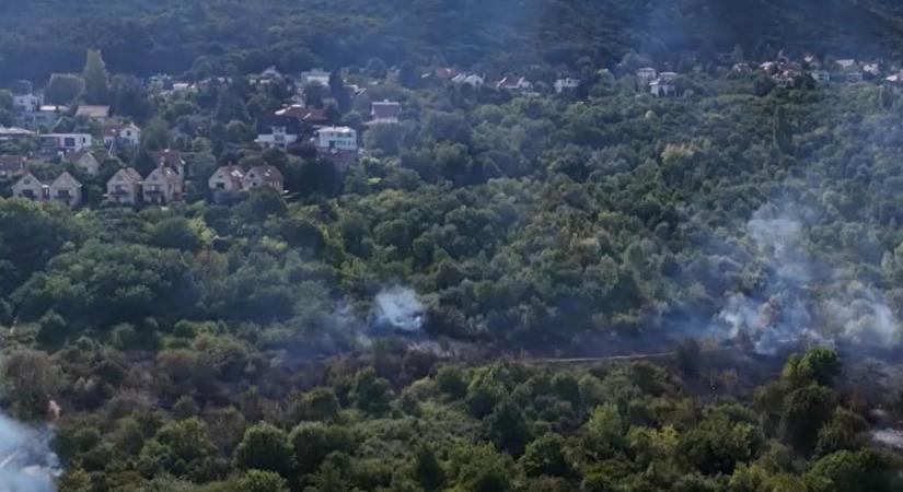 Felgyújthatták az óbudai parkot? Különös nyomokra bukkantak a helyszínen